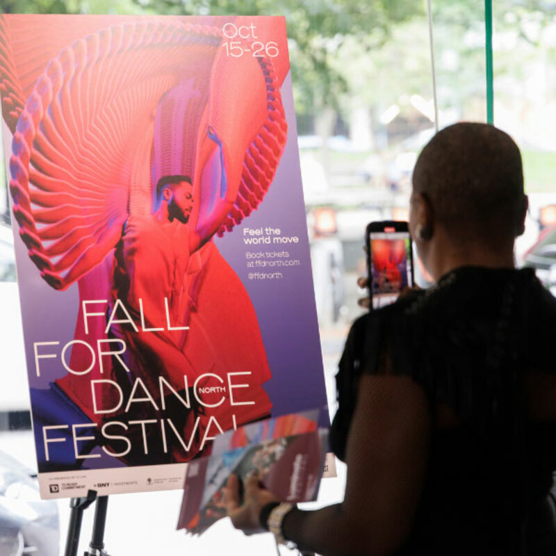 person looking at ffdn poster